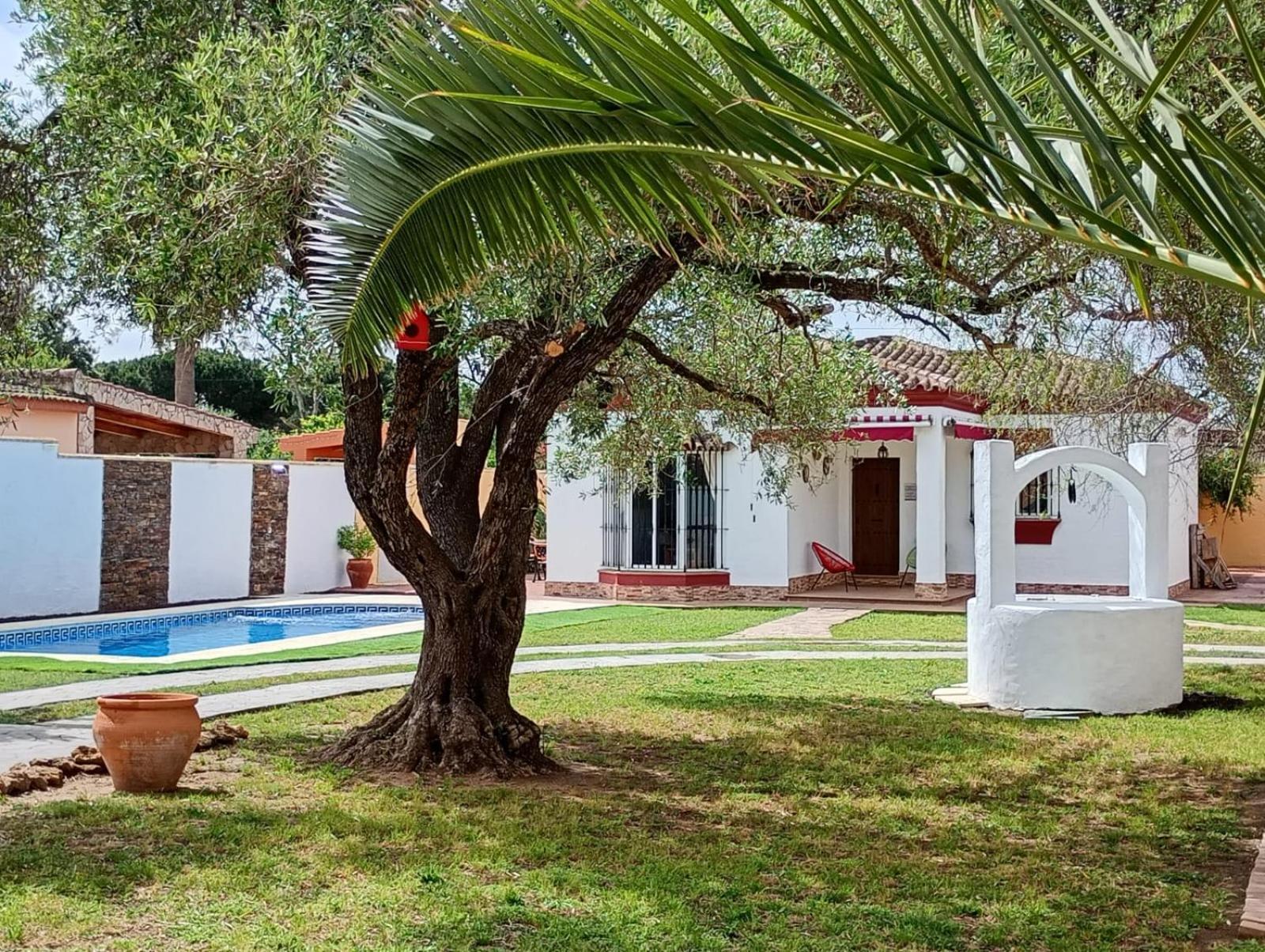 Chalet Pura Vida Chiclana de la Frontera Buitenkant foto